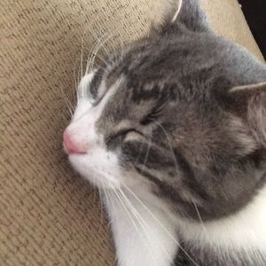 Meet your Posher, Brian